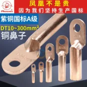阿嫲的百寶屋 國標鳳凰銅鼻子DT接線端子堵油式10接頭25壓電線紫銅鼻頭16平方{鑫弘-工葉電器}可開發票