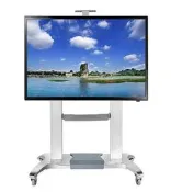 【泰宜】液晶可移動式立架 CF-100 適用於 60~100吋 液晶電視【雙北可提供到府安裝 歡迎洽詢】