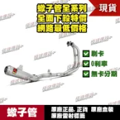 【極速傳說】Akrapovic YAMAHA YZF-R3 MT-03 R3 專用 蠍子管白鐵全段