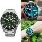 ORIENT 東方錶  綠水鬼200米潛水機械腕錶(RA-AA0914E)44MM