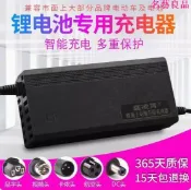 名藝良品 48V電池充電器 星恒系列三元13串48V 2A 3A 5A 8A 10A 54.6V 哈雷平衡車