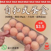 🔥台灣免運 800盒 現貨速出🔥自扣式蛋盒 10格 10顆 10粒裝 蛋盒 鴨蛋盒 塑膠蛋盒 雞蛋收納盒 一次性蛋盒