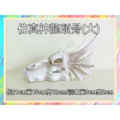 ★爬蟲新樂園★[台灣現貨]仿真神龍頭骨躲避洞 幫助爬蟲脫皮 恐龍化石 造景 守宮 蜥蜴 蛇 擺飾 水族