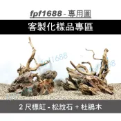 客製化造景-2尺標缸-松紋石+杜鵑木