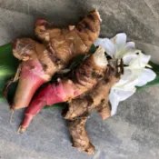 小小農田 野薑花球根 阿里山山腳下自家種植 純淨田土 無污染 無農藥
