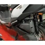 DJ1 國士無雙 300 雙槍版 魅力 MANY 125 VJR 110 125 JBUBU 油氣分離 氮氣 後避震器