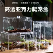  ⚡ 臺南出貨 ⚡活體成蟲甲蟲獨角仙飼養盒寵物箱亞克力蜘蛛守宮鍬形蟲造景爬寵
