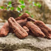 (店+)【綠色山嵐】打磨大樹皮塊 天然樹皮塊 蕨類 空氣鳳梨 小型蘭花 昆蟲養殖 攀爬樹塊
