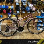 【小萬】全新出清 Liv ALIGHT 3 女性 平把公路車 XS 捷安特 GIANT 入門款 公路車 21速