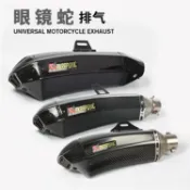 寓偉 通用摩托車跑車改裝Z800賽艇250 ZX10R 黃龍600 tmax530眼鏡蛇排氣管全碳纖維/卡夢51MM蝎子臺蝎