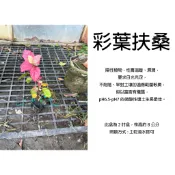 心栽花坊-彩葉扶桑/斑葉扶桑/斑葉朱槿/2吋/觀花植物/綠籬植物/花色隨機/扶桑/特價60