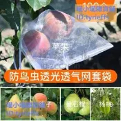 免運~限時下殺雙11-水果樹套袋蘋果梨子番石榴防鳥桃子楊桃防蟲袋子專用網袋保護網兜