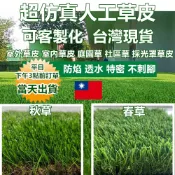嘉義現貨 防曬透水 超仿真特密 人工草皮 假草皮 塑膠草皮 消音墊 人造草皮 假草 降低雨聲 隔音墊 鋪遮雨棚