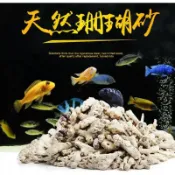 邦邦水族~天然珊瑚骨/珊瑚石/珊瑚砂/菲律賓砂/貝殼砂/造景/底砂/海水/園藝