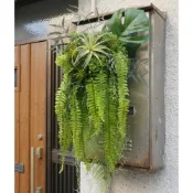 (店+)【HUGO DECO 榆果傢飾】蕨類植物空氣鳳梨植物框飾(擬真植栽/擬真植物/電箱佈置/居家佈置/壁面裝飾)