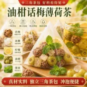 【夏日爆款】油柑話梅薄荷茶解膩茶飲獨立茶包便捷酸甜果味茶