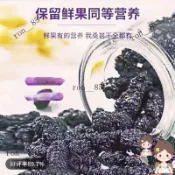   🍊新日期新疆桑葚幹野生新鮮黑桑葚幹泡水泡酒桑葚幹免洗桑葚配蓮子心茶