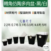 【滿額免運】轉角仿陶多肉盆 黑白兩色 轉角多肉盆 底部墊高透氣  底部加高塊根植物 如石蓮花 仙人掌 山烏龜 綜一園藝
