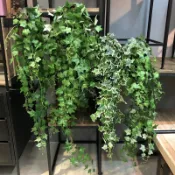 ✅仿真常春藤✅植物牆 藤條藤蔓裝飾 假藤蔓 室內外吊蘭 垂吊壁掛 爬藤蔓 掛藤綠植 假植物