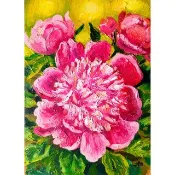 牡丹畫花原創油畫粉紅牡丹