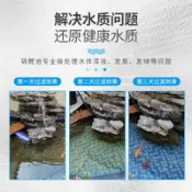 華潤城百貨 CAP庭院魚池過濾器水循環系統別墅假山戶外魚塘F全自動過濾桶