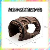★爬蟲新樂園★[台灣現貨]爬蟲小型躲避屋 迷你躲避屋 微型躲避樹幹 小型躲避樹幹 蜘蛛 跳蛛 小型爬蟲 水族