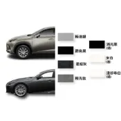 (店+)【哈家人】點師傅 LEXUS 專用補漆筆(點漆筆 IS RX NX ct 極光鈦 極地銀 星綻灰 汽車補漆筆 烤漆 噴漆 哈家人)