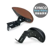 Gozilla X型強化支架 後靠 小饅頭 KYMCO 光陽 New Many Many LED 靠得安心 快鎖式好安裝