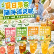 台灣出貨 小紅書同款夏日冷泡茶 水果茶 芭樂油柑薄荷 菠蘿冰茉莉 話梅油柑 組合花茶 薄荷茶 清爽解膩