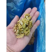 （金協和）生核桃（1/2）85％核桃生的600g 烘培材料 餅乾原料 蛋糕材料 麵包原料 養身食品 養生食品