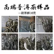 【可開發票】2025易武古樹普洱茶樣品刮風寨曼松天門山百花潭 銅箐河 易武茶區