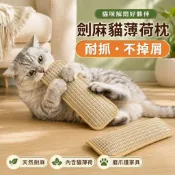 現貨速發🐱劍麻貓薄荷抱枕 麻繩貓薄荷 枕造型抱枕 貓咪玩具 貓薄荷貓咪用品 貓咪枕頭 貓玩具 劍麻耐磨 含猫薄荷枕頭抱枕