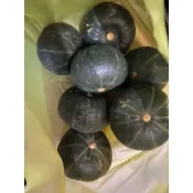 新鮮出爐的-栗子南瓜