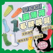 現貨 24H出貨 貓玩具 貓薄荷玩具 貓草玩具 貓草魚 貓咪玩具 貓草包 貓薄荷玩具 絨毛貓草玩具