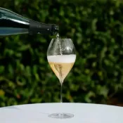 全球選品1館 生活百貨 精品酒杯LEHMANN球形香檳杯高級杯無極杯滿滿高級感的白葡萄酒杯
