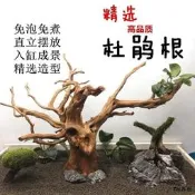 沉木造景沉木魚缸水草缸造景莫斯樹形天然沉木杜鵑根成品棲根樹枝