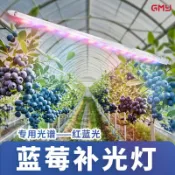 漣漪生活 【專用光譜】藍莓補光燈 植物生長燈 植物燈 防水植物燈 結果補光燈 全光譜LED 藍莓專用 促進開花結果 陽臺室內通用