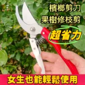 🔥臺灣出貨🔥A級紅白剪 檳榔剪刀 新款進口材質剪刀 園林花藝修剪 樹枝剪刀 強力粗枝剪 果樹花卉剪枝鉗 AAWZ