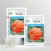 🎃【可開收據】大包裝 巨型南瓜種子（約5粒）特大金瓜種子、單瓜種50-100斤 世界記錄保持者！可觀賞可食用/原裝包對版