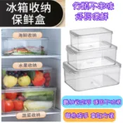 【現貨速出】冰箱收納盒 冰箱分類保鮮盒 水果保鮮盒 透明冷凍食物密封盒 蔬菜雞蛋儲物盒 多功能保鮮收納盒 大中小尺吋