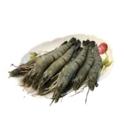 (店+)鮮凍大草蝦 250g盒10隻