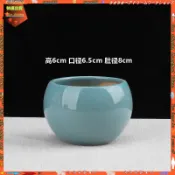 【多肉花盆陶瓷】多肉盆 多肉花盆 陶瓷花盆 大花盆 花盆 北歐極簡 純色 彩色 球形 六色 小清新 陽臺 室內 裝飾 花