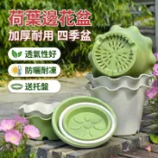 臺灣熱銷✨全店免運✨2026新款 花邊花盆 花邊盆 荷葉邊 加厚耐用 四季盆 透氣 大號花盆 防曬 耐凍 送托盤