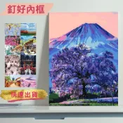 (店+)【Manto】台灣製DIY數字油畫-夜櫻富士|超取專用大小