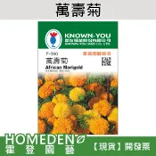 【隔日到貨】萬壽菊 F-590 花卉種子 農友牌 小包裝種子 約60粒/包【HOMEDEN霍登園藝】