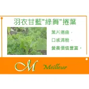 《Meilleur》羽衣甘藍“綠舞“捲葉種子 7g