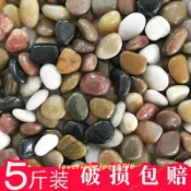 台灣園藝🌱🌱5斤鵝卵石 雨花石 原石天然小石頭 石子魚缸 花盆裝飾 五彩鵝軟 石鋪路