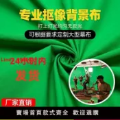 白日夢想家 【台灣公司 超低價】加厚加密專業級綠幕背景布摳圖摳像布拍攝影綠布直播幕布綠底超厚