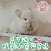 🏡龍貓安親班🏡【台灣現貨 美國進口】提摩西＋苜蓿 壓縮草磚 200g 牧草磚 兔子 天竺鼠 高纖 磨牙