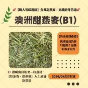 甜燕麥(B1款)※4/27到貨《富兔康》♥澳洲甜燕麥(B1款)100克＆400克※高纖牧草
